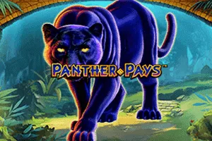 Playtech : Panther Pays - JOOX138