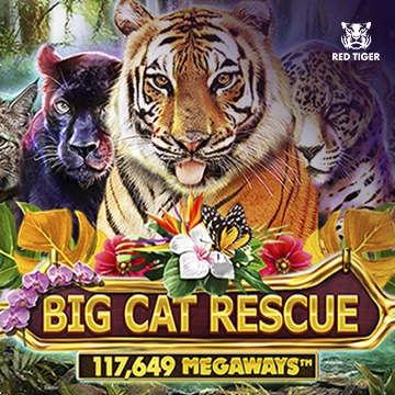 Redtiger : Big Cat Rescue Megaways - JOOX138