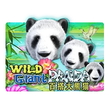 Joker123 : Wild Giant Panda - JOOX138