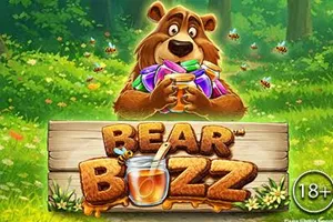 Bear Buzz - JOOX138