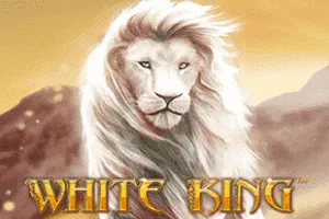 Playtech : White King - JOOX138