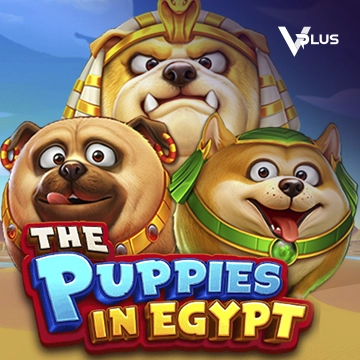 Vplus : The Puppies In Egypt - JOOX138