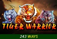 Spadegaming : Tiger Warrior - JOOX138