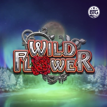 Bigtime : Wild Flower - JOOX138