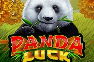Playtech : Panda Luck - JOOX138
