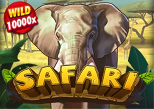 AFB : Safari - JOOX138