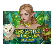 Enchanted Forest - JOOX138
