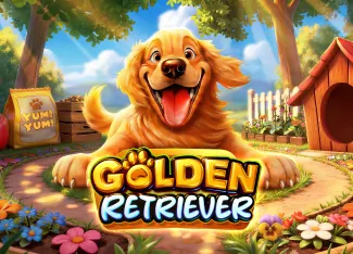Golden Retriever - JOOX138