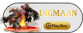 Digman - JOOX138