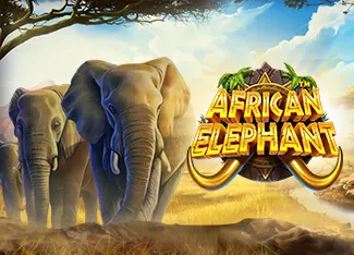 Pragmatic : African Elephant - JOOX138